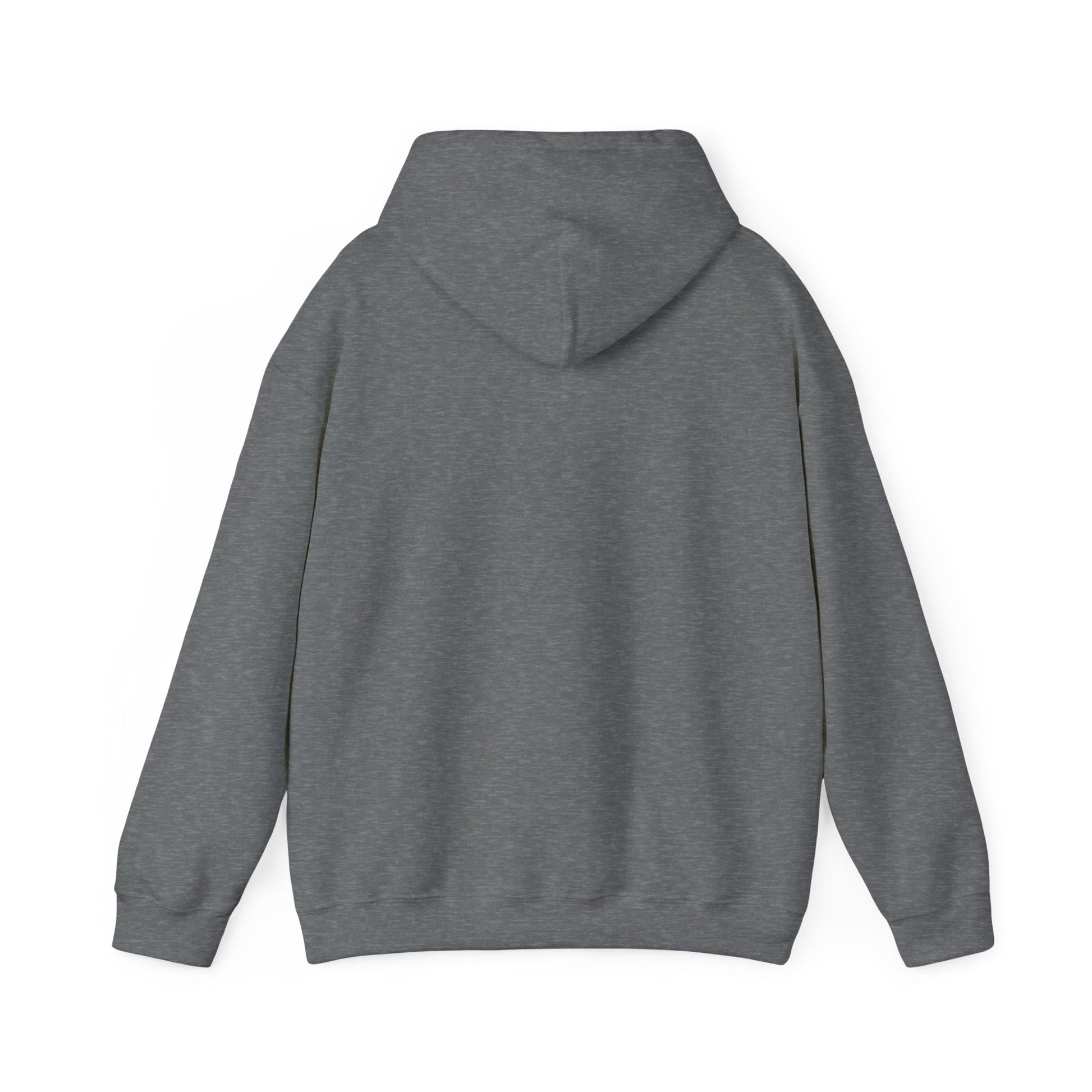 Passionate About Communication SLP Hoodie - Cozy Sweatshirt for Speech Language Pathologists Gift for Therapists Study