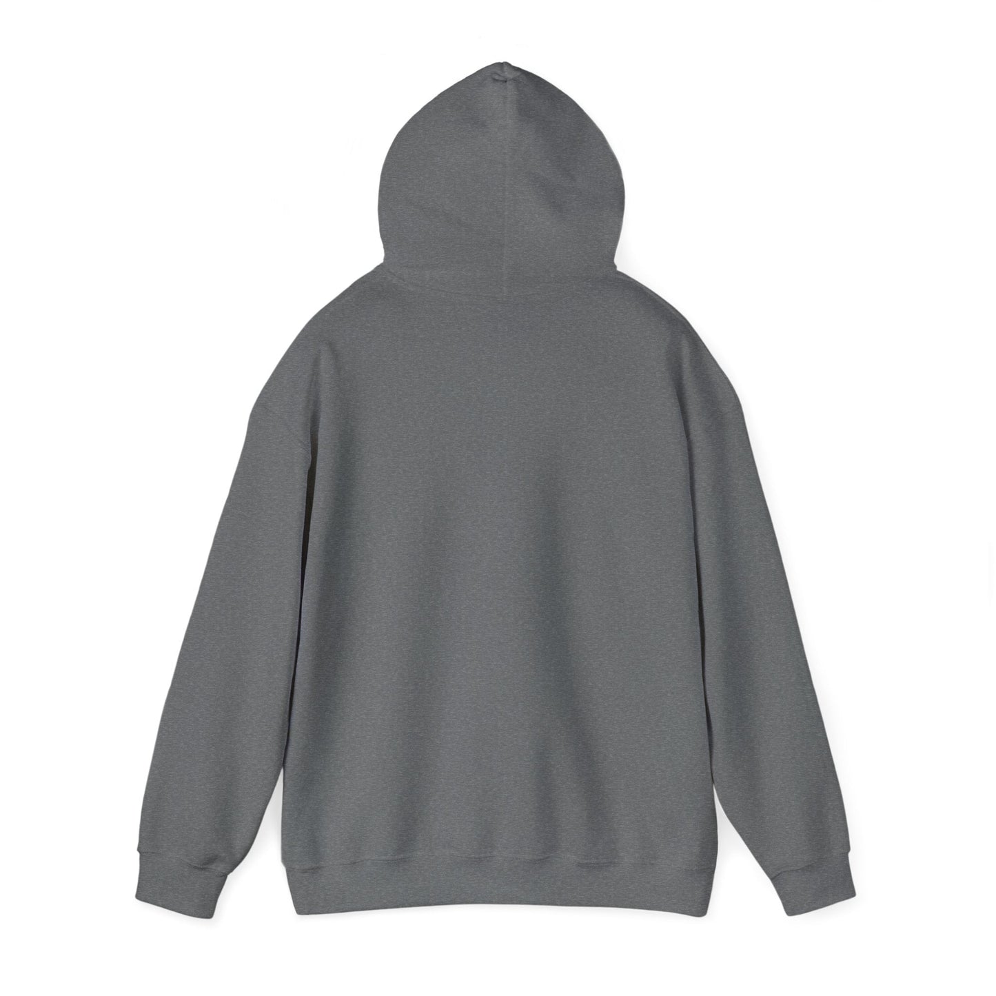 Passionate About Communication SLP Hoodie - Cozy Sweatshirt for Speech Language Pathologists Gift for Therapists Study