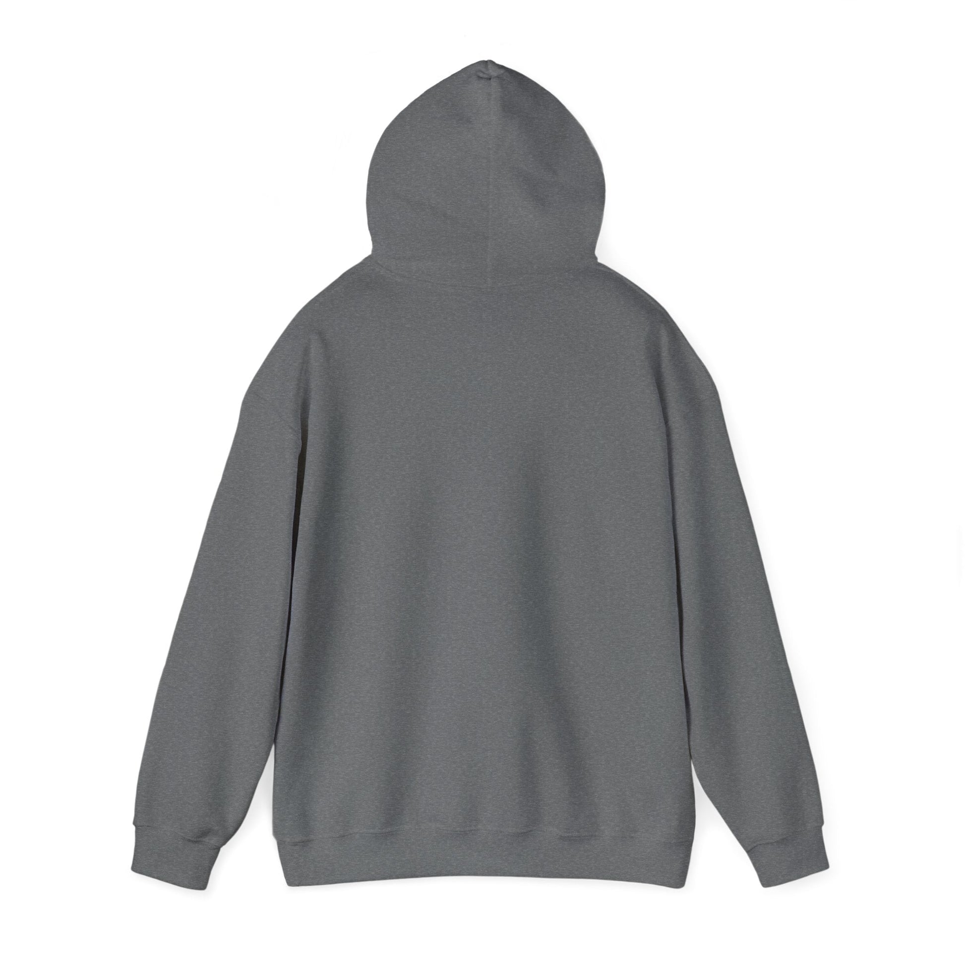 Passionate About Communication SLP Hoodie - Cozy Sweatshirt for Speech Language Pathologists Gift for Therapists Study