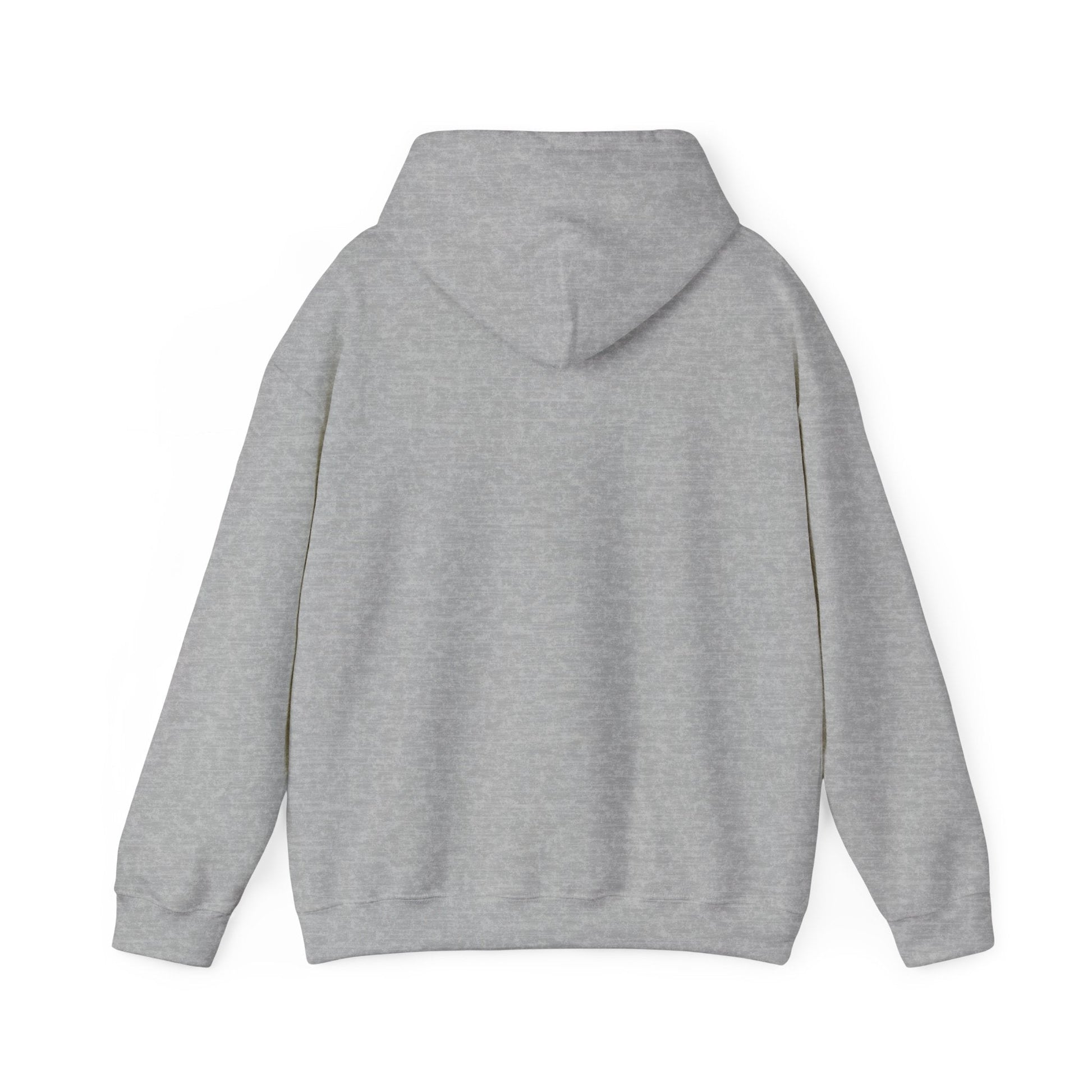 Passionate About Communication SLP Hoodie - Cozy Sweatshirt for Speech Language Pathologists Gift for Therapists Study
