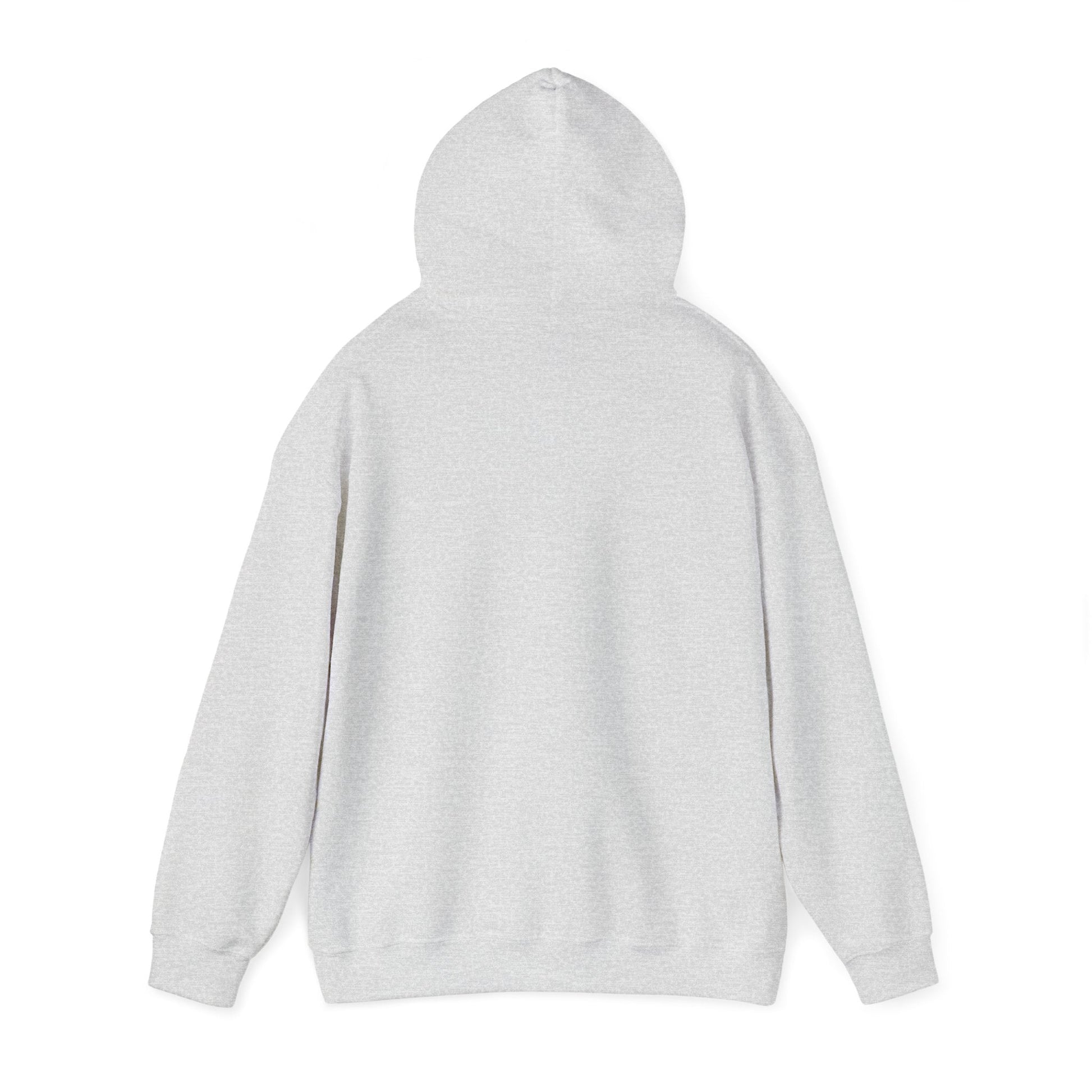 Passionate About Communication SLP Hoodie - Cozy Sweatshirt for Speech Language Pathologists Gift for Therapists Study