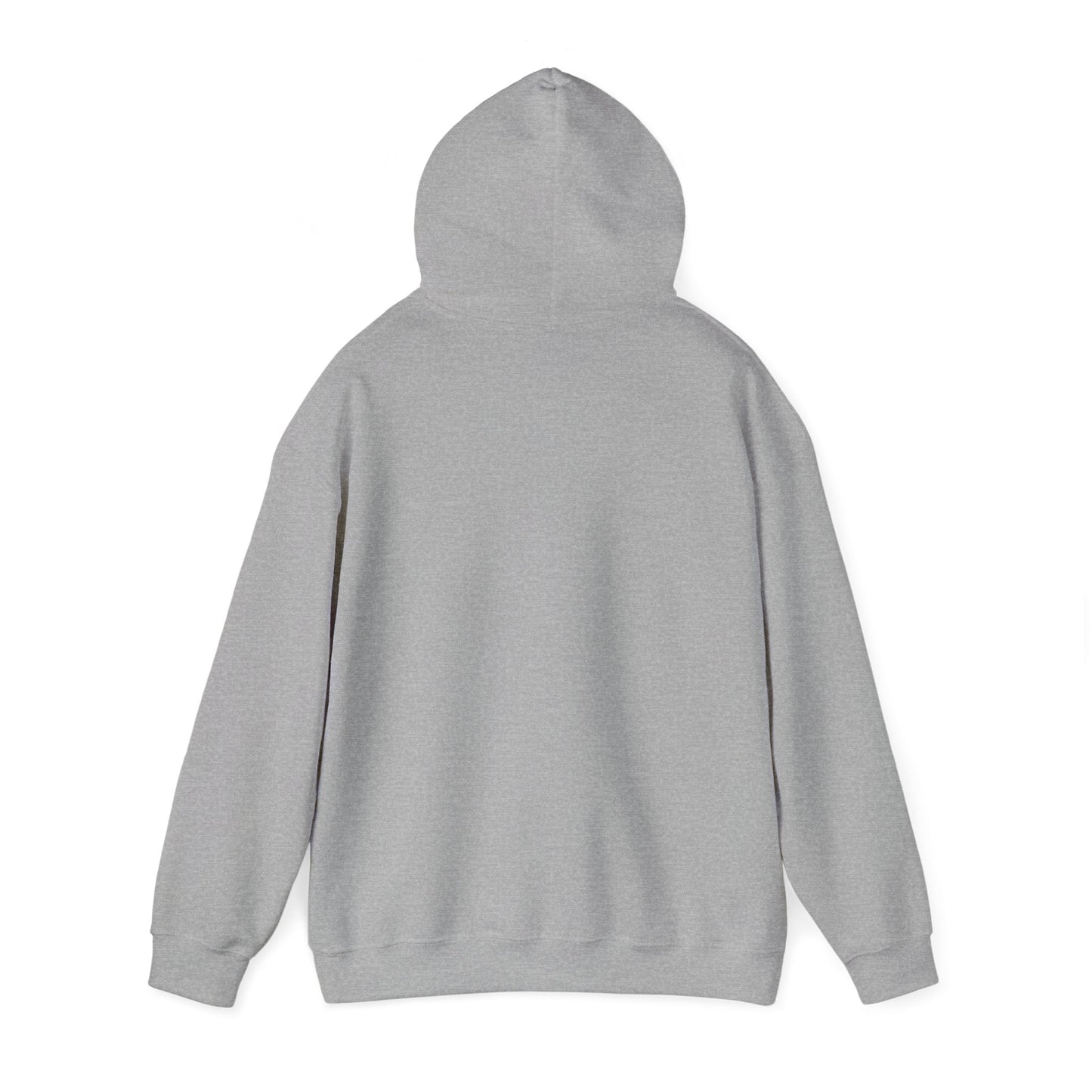 Passionate About Communication SLP Hoodie - Cozy Sweatshirt for Speech Language Pathologists Gift for Therapists Study