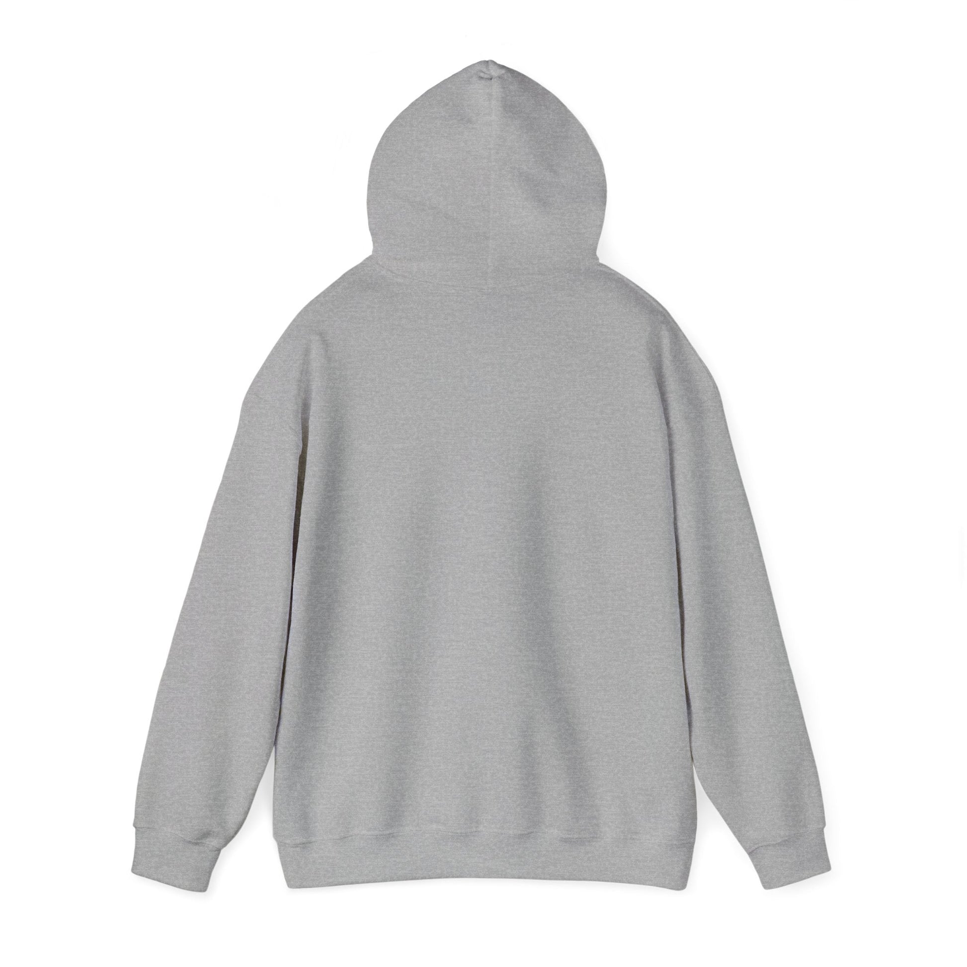 Passionate About Communication SLP Hoodie - Cozy Sweatshirt for Speech Language Pathologists Gift for Therapists Study