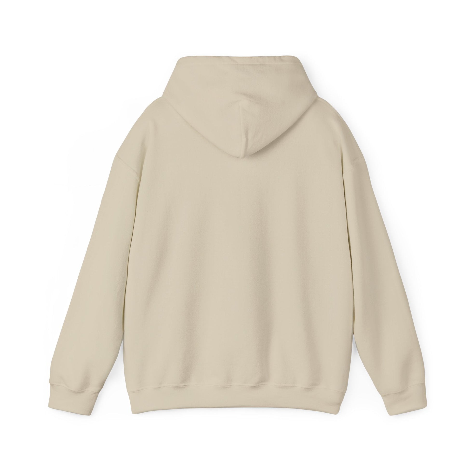 Passionate About Communication SLP Hoodie - Cozy Sweatshirt for Speech Language Pathologists Gift for Therapists Study